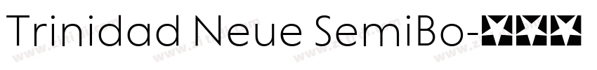 Trinidad Neue SemiBo字体转换